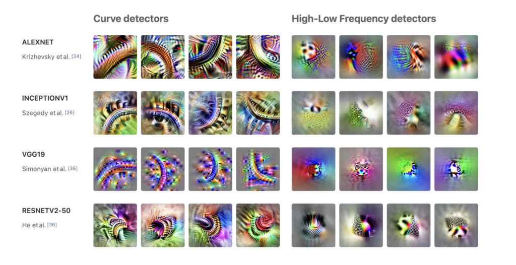 Curve Detectors in Vision Models.png